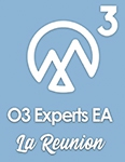 O3 Experts